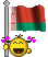 Flag_Belarus1
